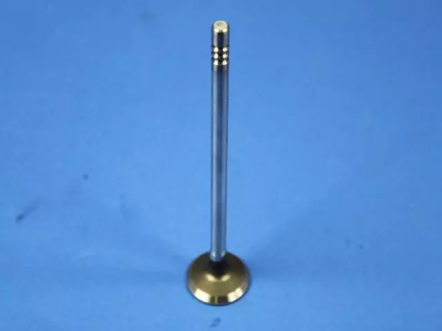 Exhaust Valve