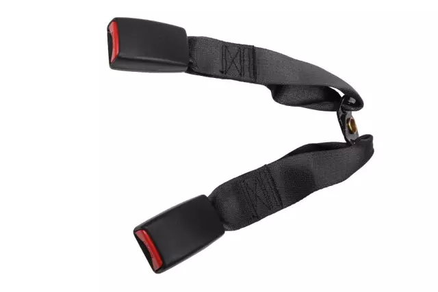 Ebony Rear Center Seat Belt with Buckle