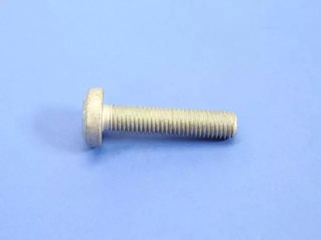 Torx Head Bolt