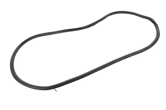 Weather-Strip On Body