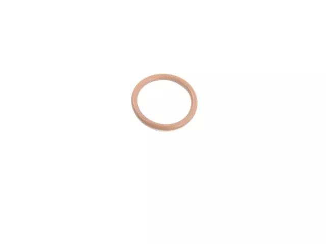 O-Ring