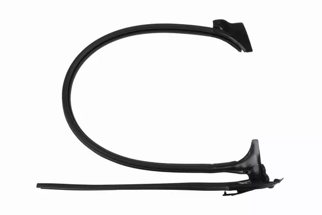 Driver Side Rear Door Weatherstrip