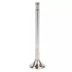 Exhaust Valve