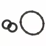 Axle Seal