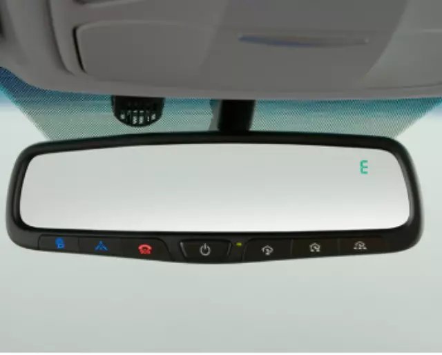 Auto-Dimming Mirror W/ Bluelink, Homelink