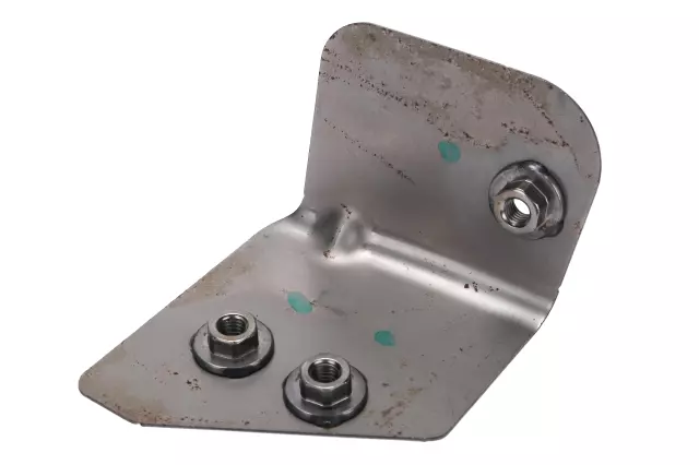 Driver Side Rear Door Hinge Anchor Plate