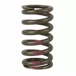Valve Springs