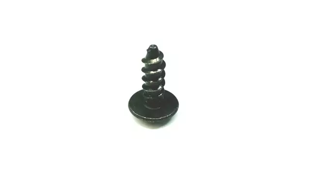 Center Panel Screw