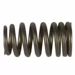 Valve Springs