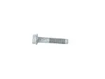 Hex Flange Head Screw