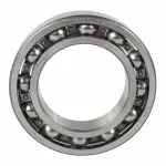 Transfer Case Input Shaft Bearing