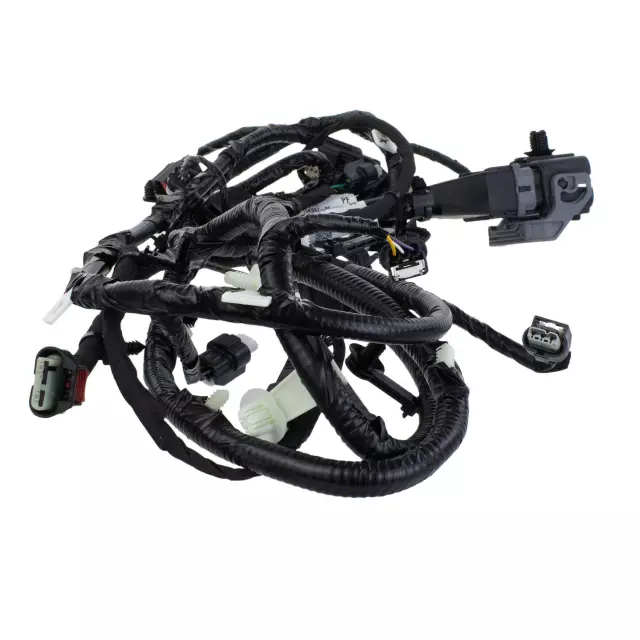YES　BASIC150 Amazon Basics 50-Inch Lightweight Camera Mount Tripod Stand