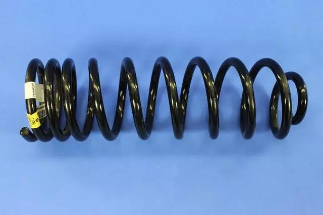Rear Coil Spring, Left Rear