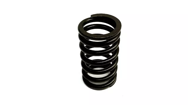 Valve Springs