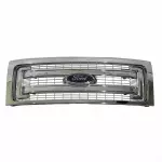 2013-2014 Ford F-150 - Grille