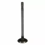 Engine Exhaust Valve