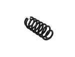 Rear Coil Spring, Right Rear