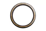 Rear Crankshaft Oil Seal Kit