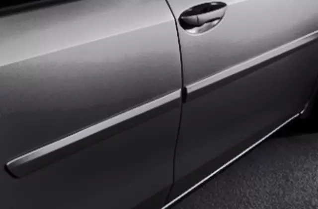 Molding, Body Side, Magnetic Gray Metallic