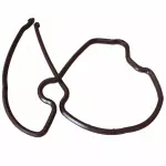 Engine Timing Cover Gasket