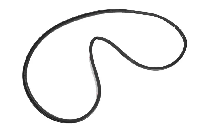 Rear Passenger Side Door Weatherstrip