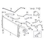 2020-2023 Ford Overflow Hose - Motorcraft (KM-7105)