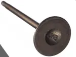 Exhaust Valve