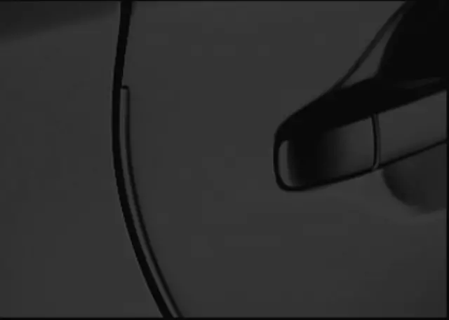 2015-2019 Toyota - Door Edge Guards, Black Sand Pearl
