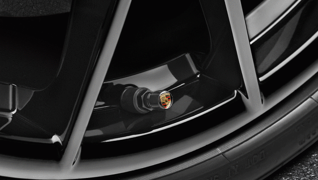 Door Entry Guards In Carbon - Illuminated