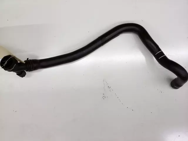 Lower Hose