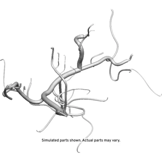 Engine Wiring Harness