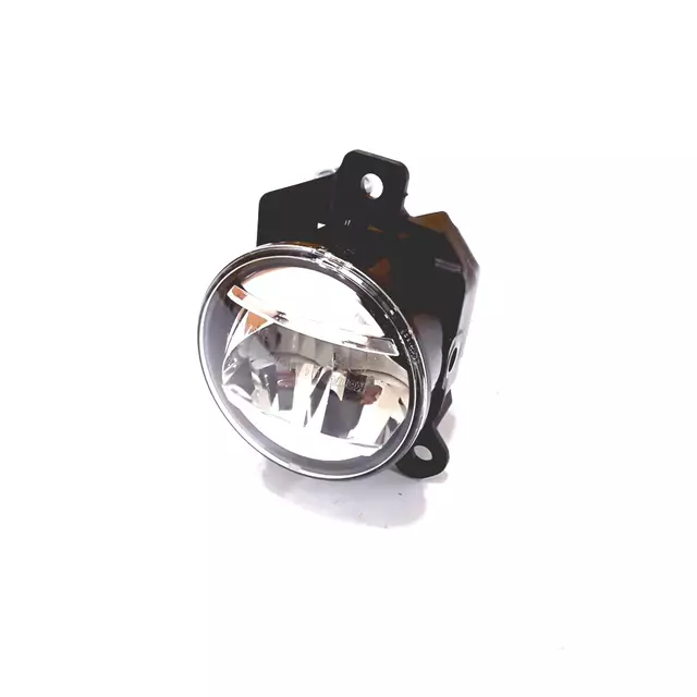 Fog Lamp Assembly