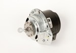 Fan Motor