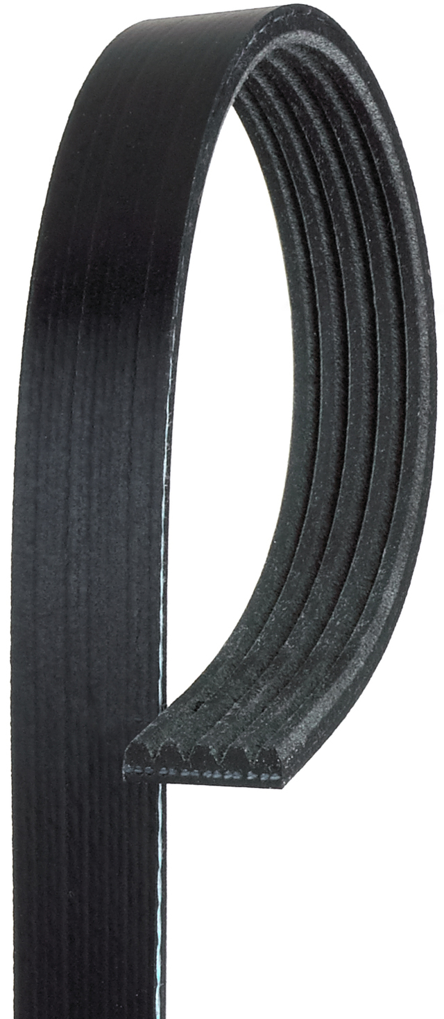 12634320 - Maintenance &amp; Lubrication: Serpentine Belt for Chevrolet: Cavalier, Cobalt, HHR | Pontiac: G5, Sunfire | Saturn: Ion, Vue Image