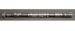 Camshaft (Exhaust)