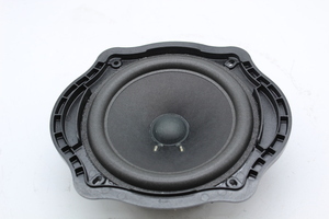Door Speaker