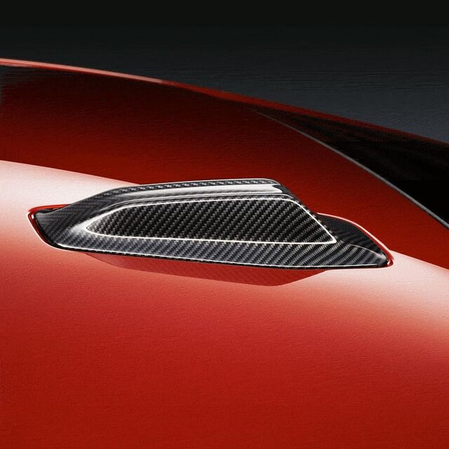 アルテッツァGReddy カーボンケブラーエアーディバージョンプレート アルテッツァGReddy カーボンケブラーエアーディバージョンプレート