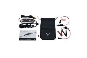 Battery Conditioner With Crossed Flags Logo