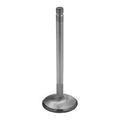 Exhaust Valve