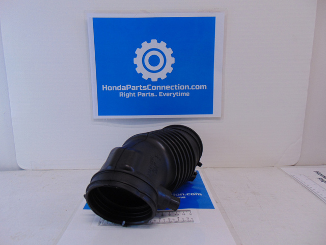 よしにゃあ　弁慶柱10株 よしにゃあ 弁慶柱10株 よしにゃあ 弁慶柱10株 よしにゃ