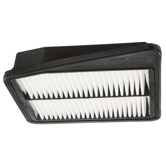 20182021 Kia Stinger Air Filter 28113J5100 QuirkParts