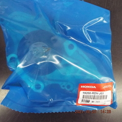 Engine Water Pump