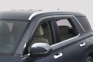 Side Visor