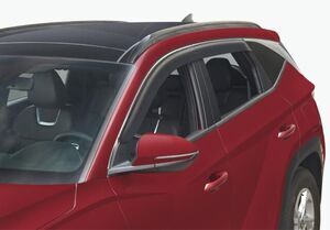 Side Visor