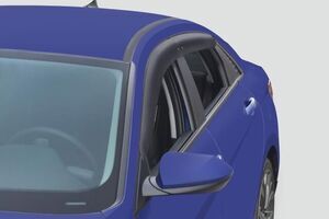 Side Visor