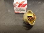 Engine Coolant Thermostat
