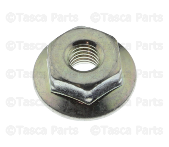 999400503 - Electrical: Combo Lamp Assembly Nut for Mazda: 3, 5, 6, CX-3, CX-30, CX-5, CX-50, CX-7, CX-9, MX-3, MX-30 EV, MX-5 Miata, Protege5 Image