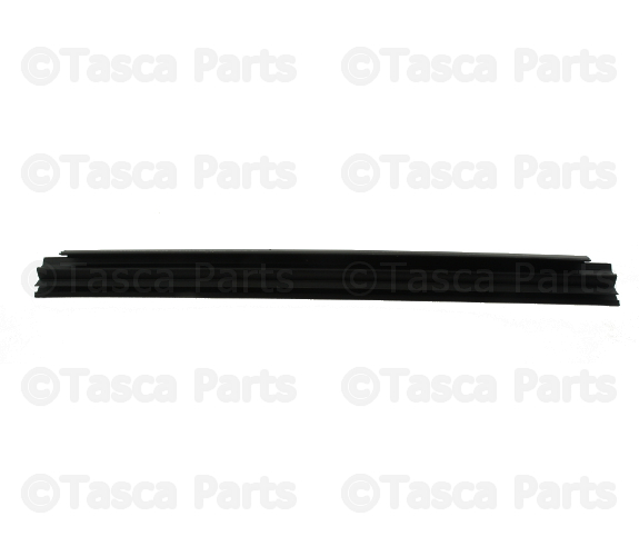 Rear Door Belt Inner Weatherstrip