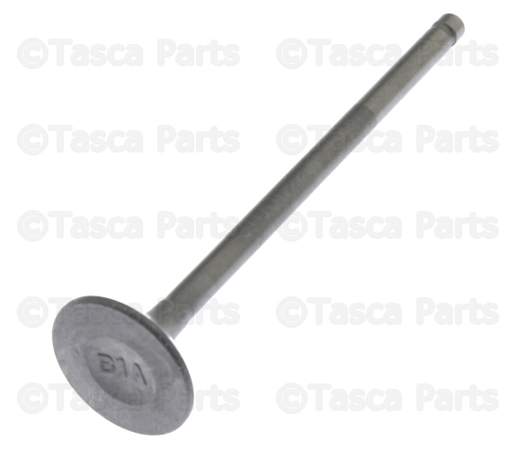 Exhaust Valve