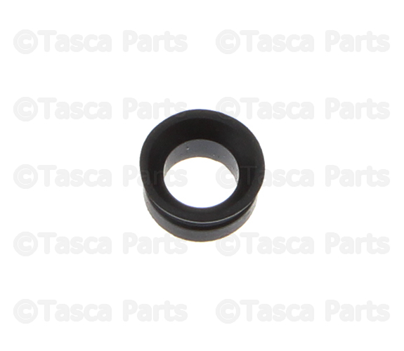 Exhaust Valve Seals